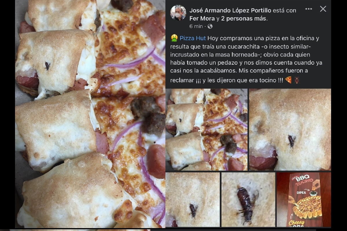 Poblanos encuentran cucaracha en su "cheesy pops"; Pizza Hut dice que es tocino 🤮 4 pizza hut