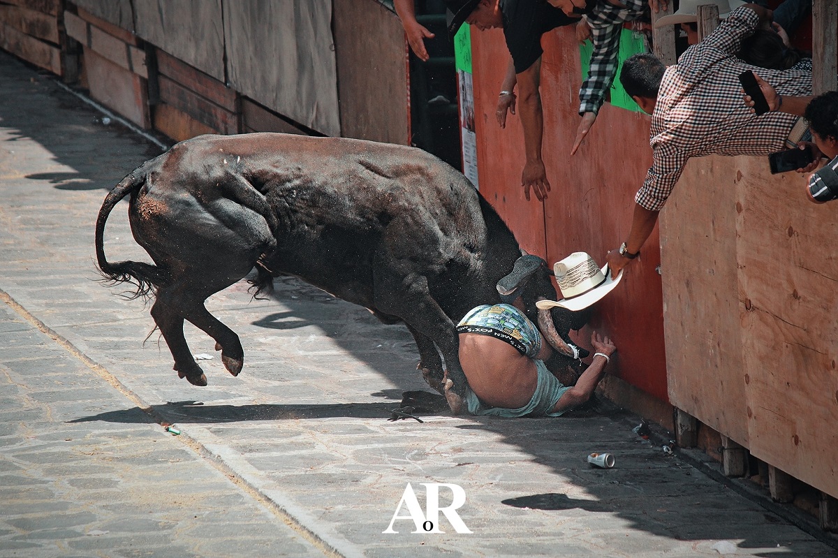 IMÁGENES SENSIBLES: Toro embiste a asistente de la Xiqueñada 2022 en Veracruz