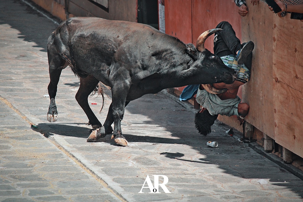 xiquenada 2022 veracruz