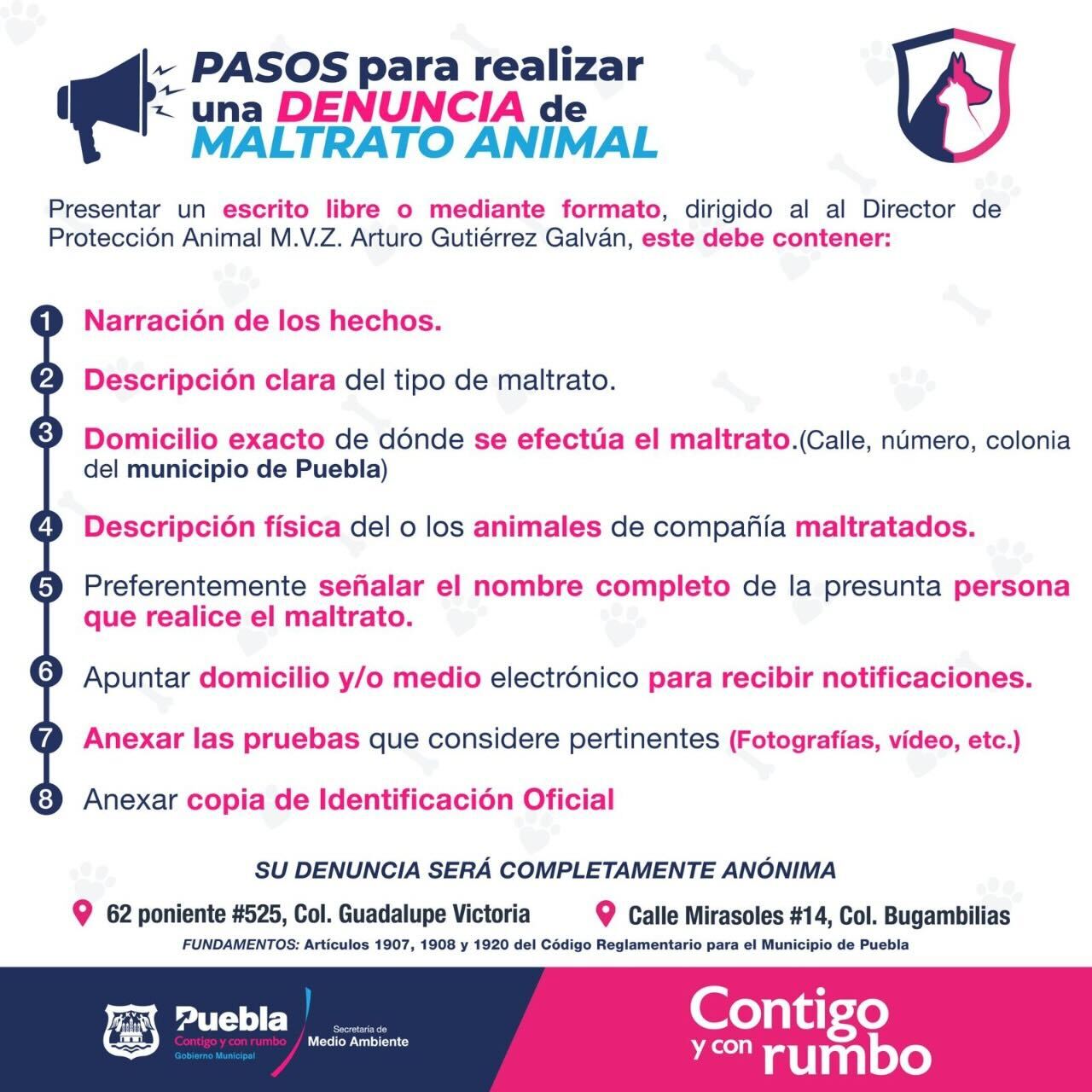 maltrato animal