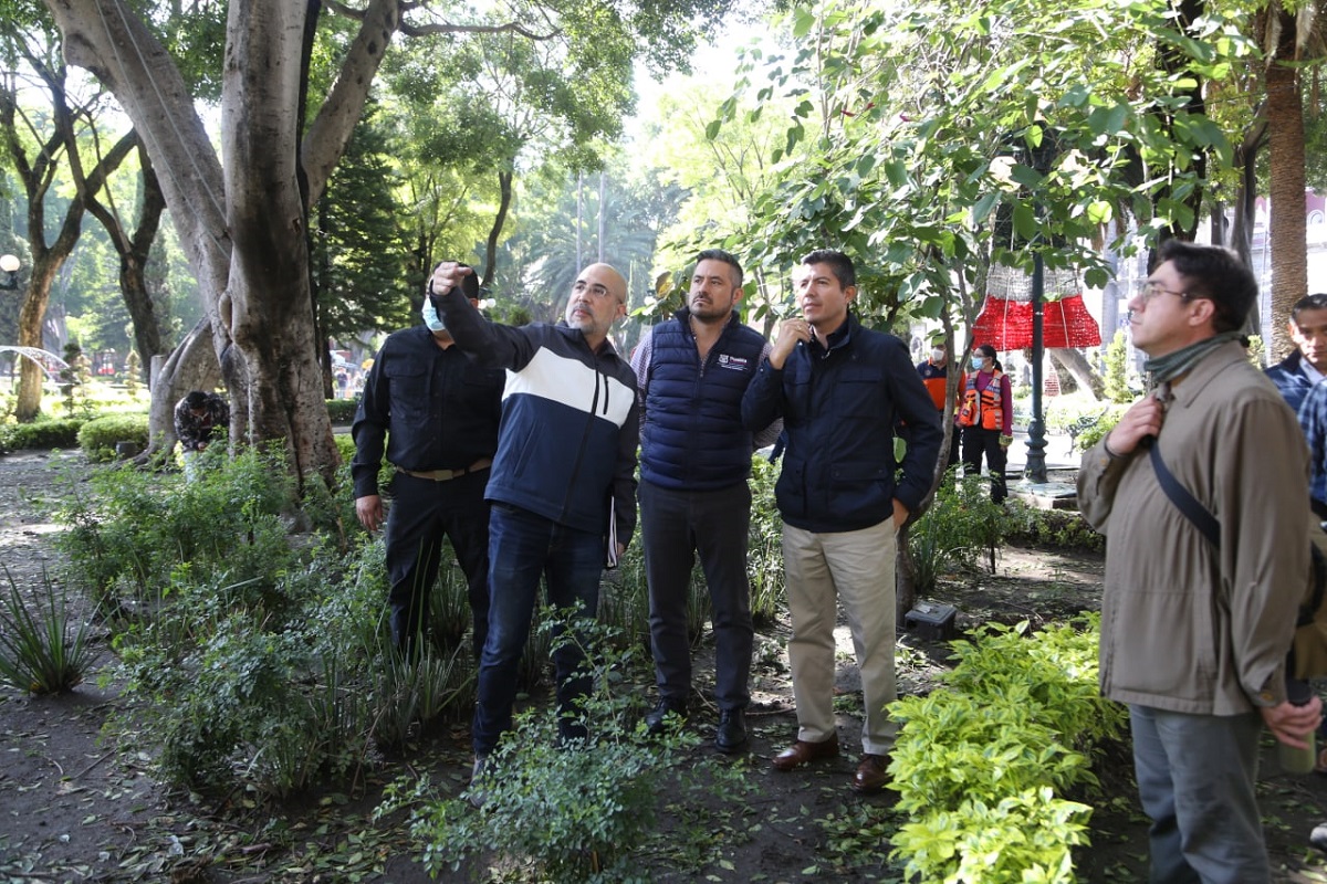 Ayuntamiento de Puebla retirará cinco árboles del zócalo afectados por lluvias y vientos atípicos 2 WhatsApp Image 2022 08 30 at 4.32.14 PM