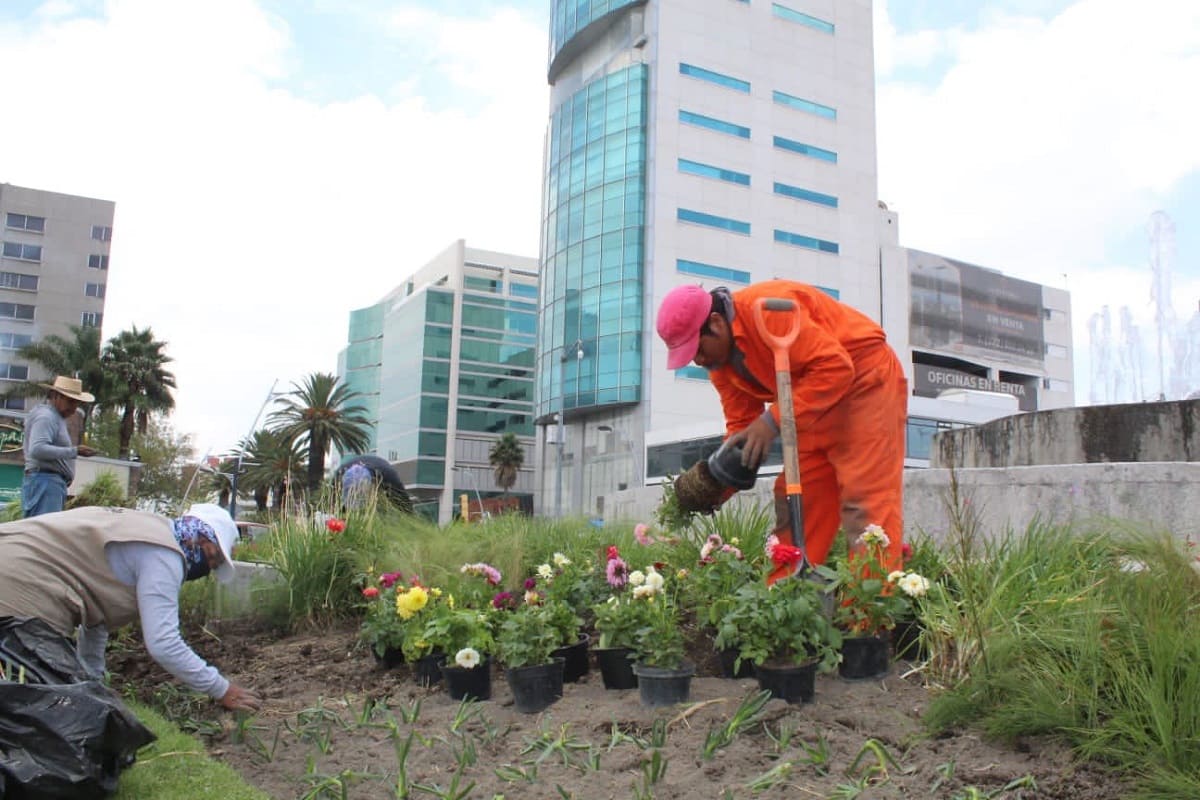 ayto puebla remodela avenida juarez 1