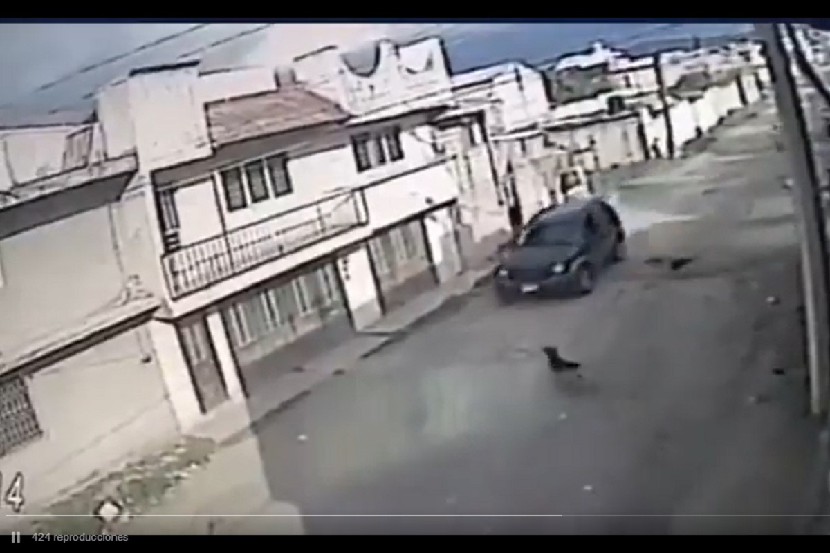 VIDEO: Conductor atropella a perrito intencionalmente en Bosques de Amalucan 2 bosques 1
