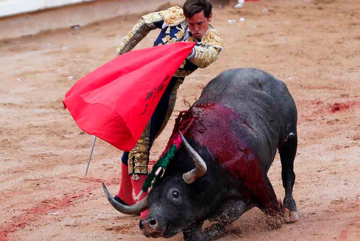 Juez ordena suspensión de corridas de toros en Zacatlán 2 corridas de toros 1