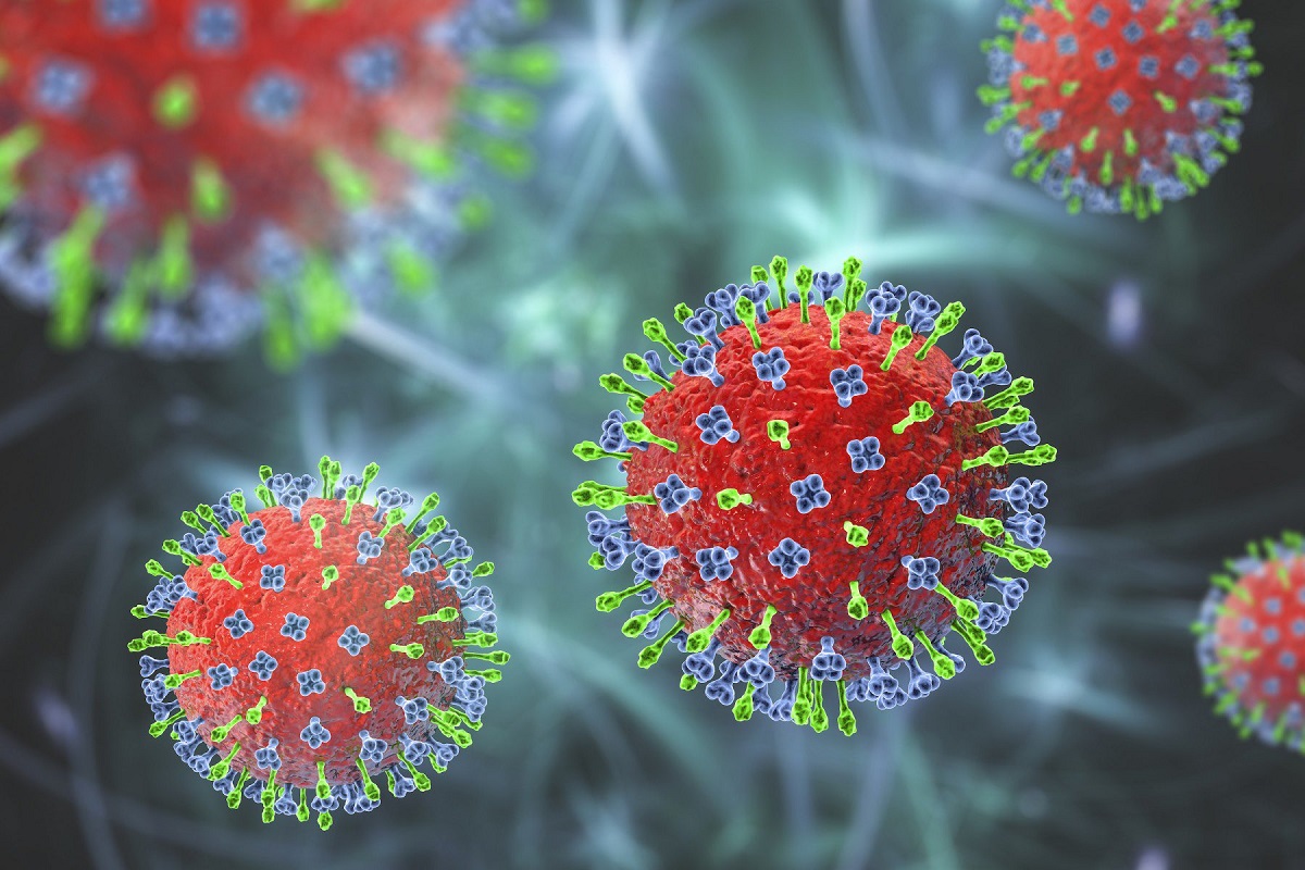 Henipavirus: Descubren nuevo virus de procedencia animal en China y Singapur 2 henipavirus