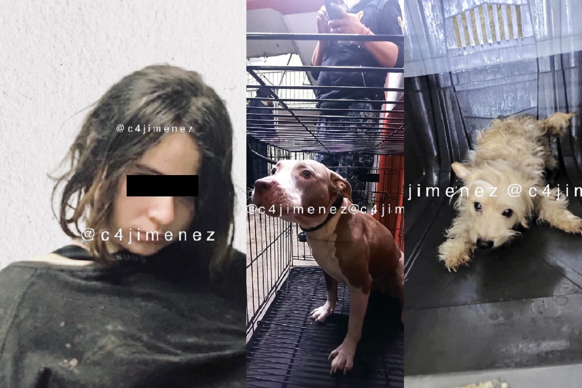 FOTOS: Los perritos que acompañaron a Karla los días que pasó con los cadáveres de su madre y su tío 2 karla