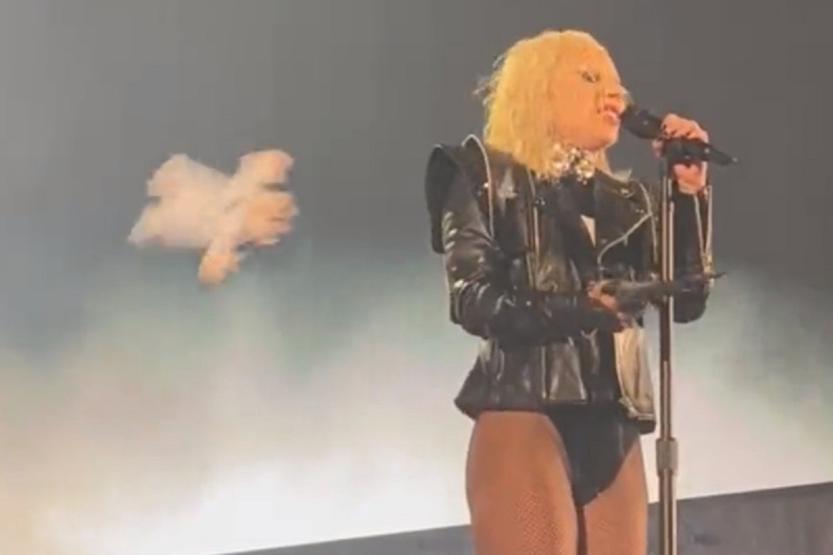 VIDEO: Fan golpea a Lady Gaga con peluche del Dr. Simi en pleno concierto 2 lady gaga