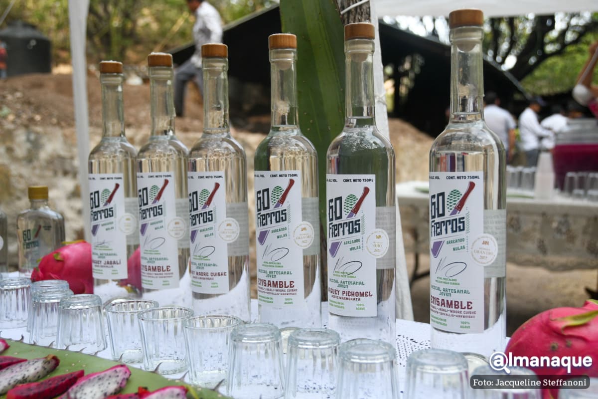 mezcal 60 fierros 13
