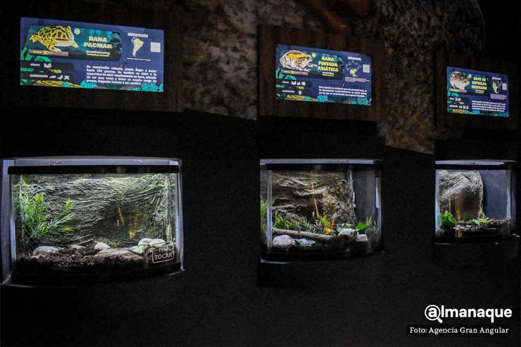 museo mundo viviente Puebla 2