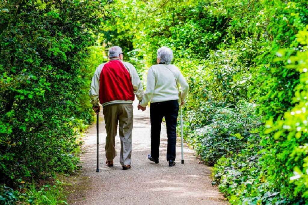 pareja de ancianos 1