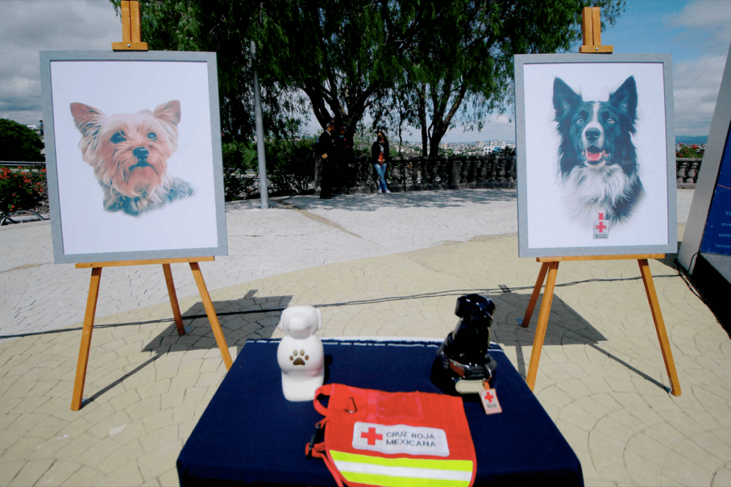 perritos Athos y Tango. 1