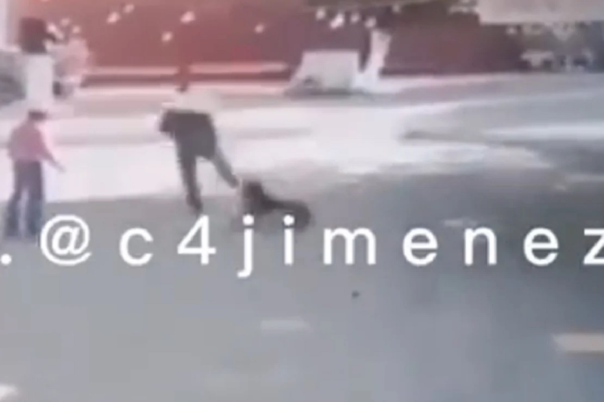 VIDEO FUERTE: Sujeto golpea brutalmente a un perrito en el Lienzo Charro de la Villa 2 perro lavila
