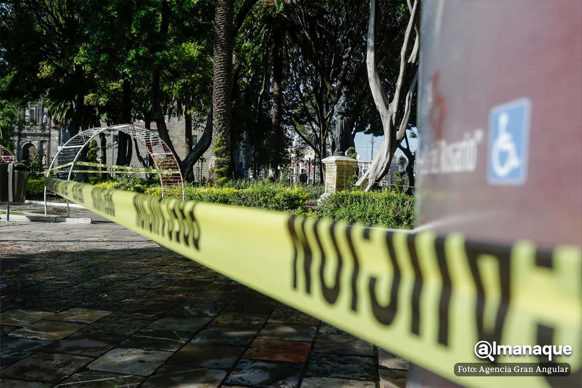 FOTOS: Retirarán cinco árboles del zócalo de Puebla tras intensa lluvia 5 retiran cinco arboles del zocalo de Puebla 3