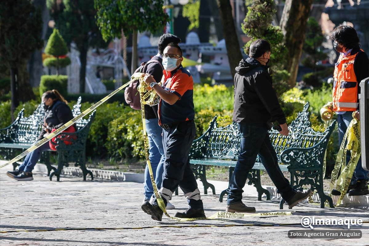 retiran cinco arboles del zocalo de Puebla 4