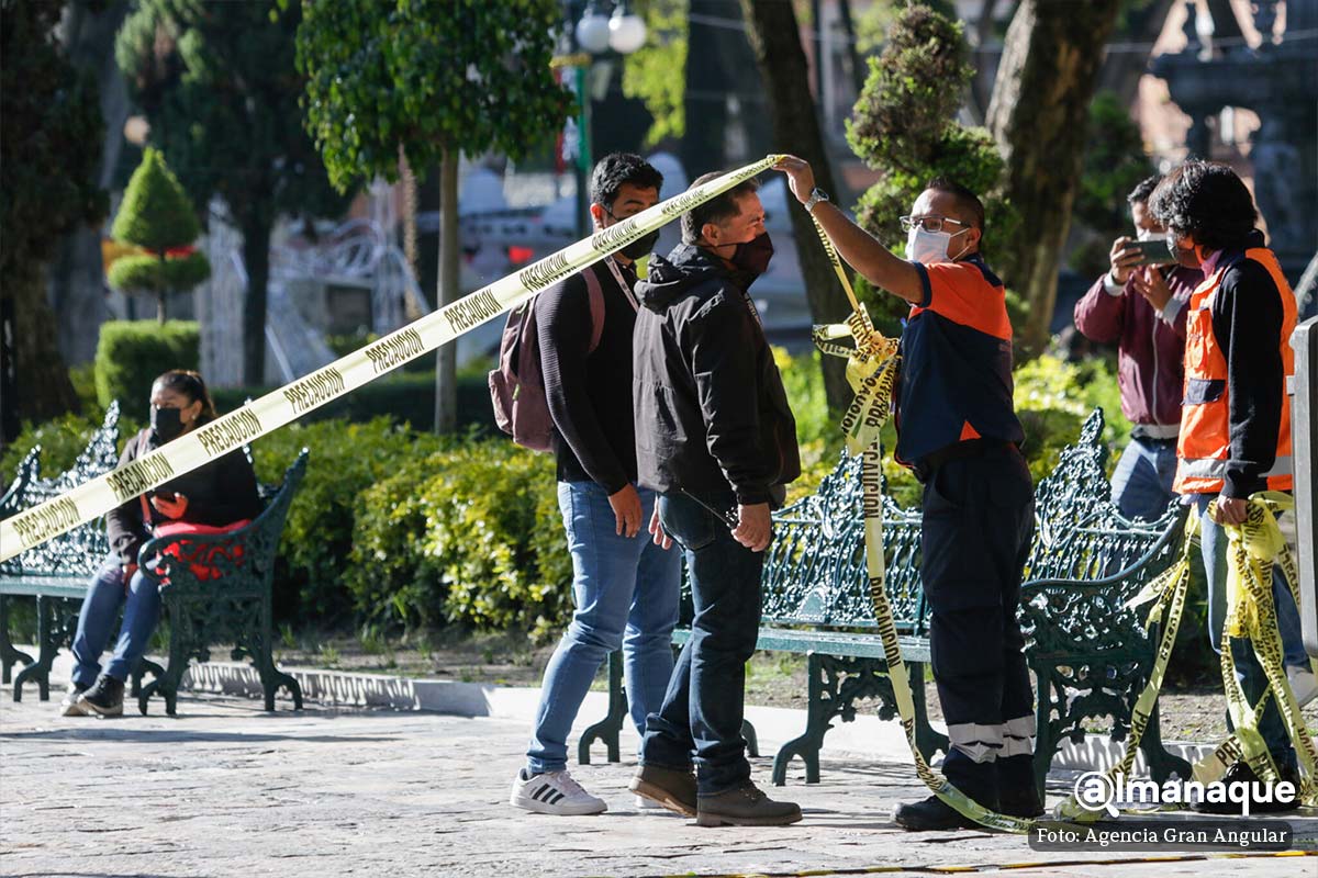 retiran cinco arboles del zocalo de Puebla 6