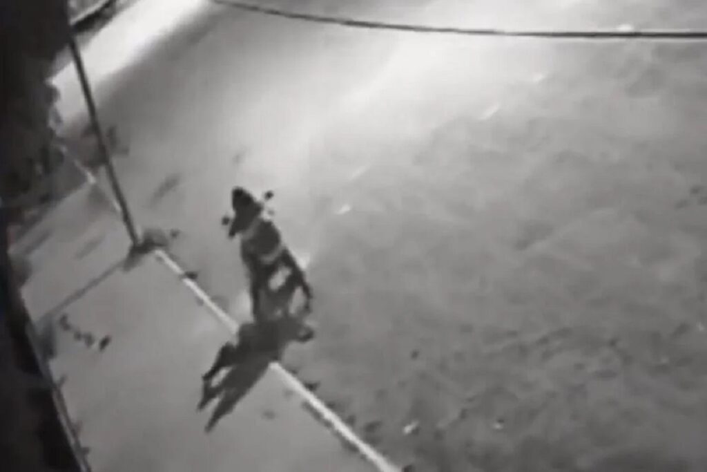 video motociclistas slp cadaver