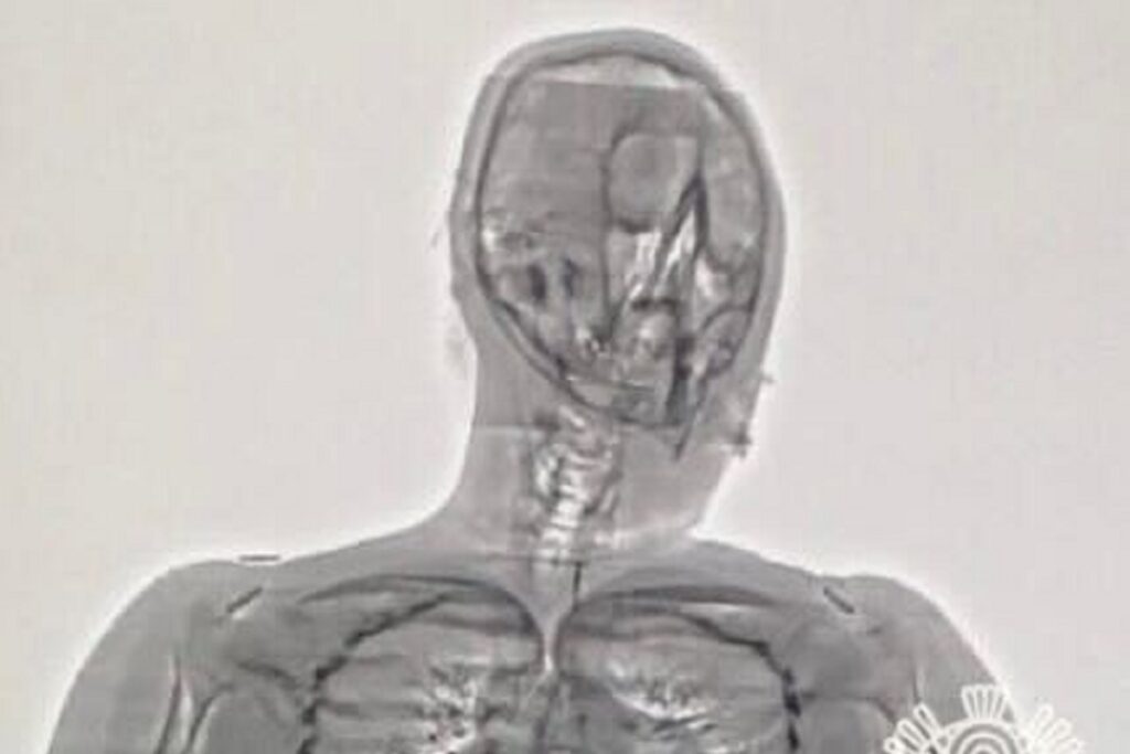 2e2aeabf a58e 41b9 ae5a 059d5331fca9