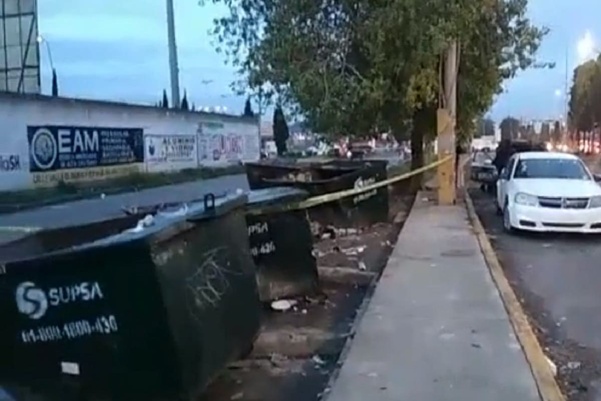 Bosques de San Sebastian 1