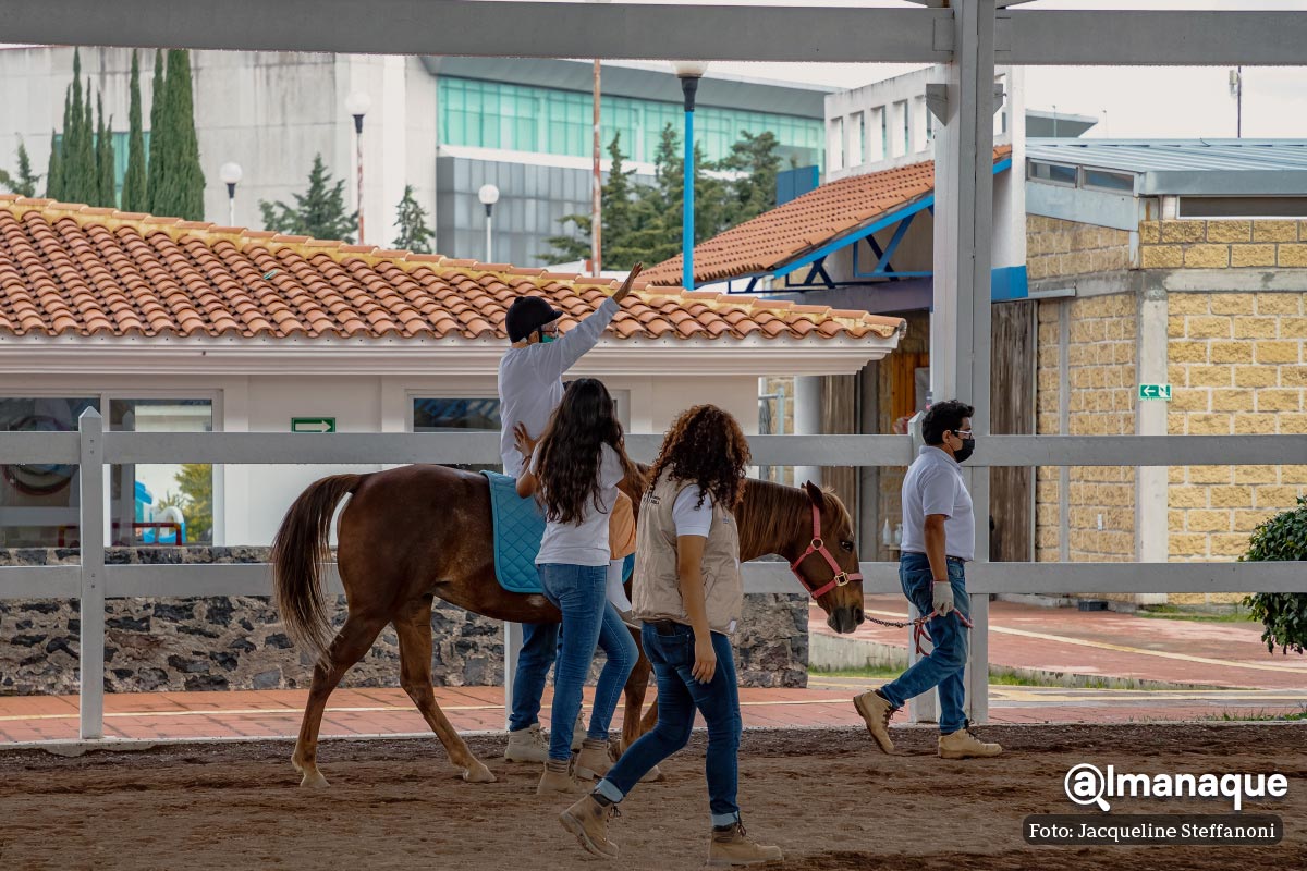 CMERI equinoterapia Puebla 5
