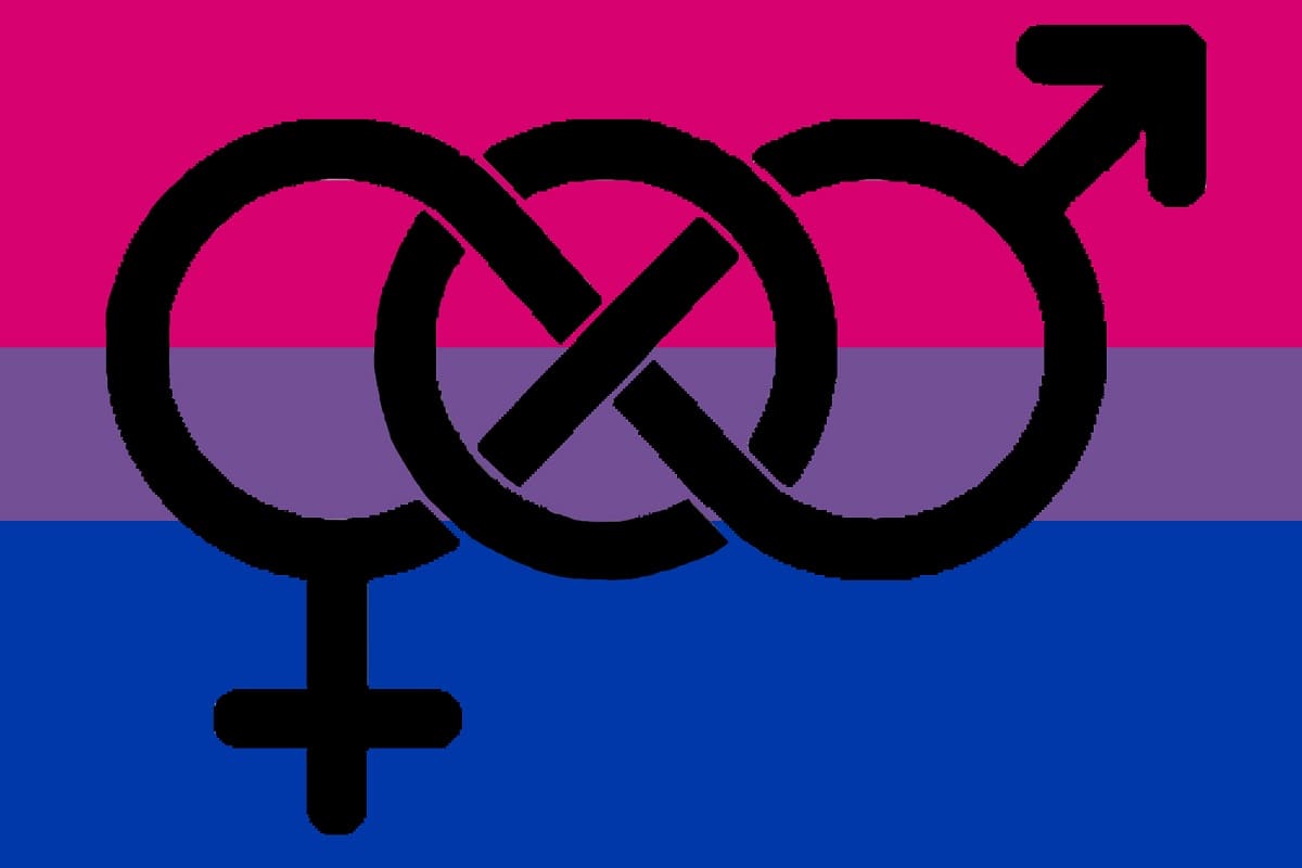 Día Internacional de la Bisexualidad: ¿Por qué se celebra este 23 de septiembre? 5 Dia Internacional de la Bisexualidad 1