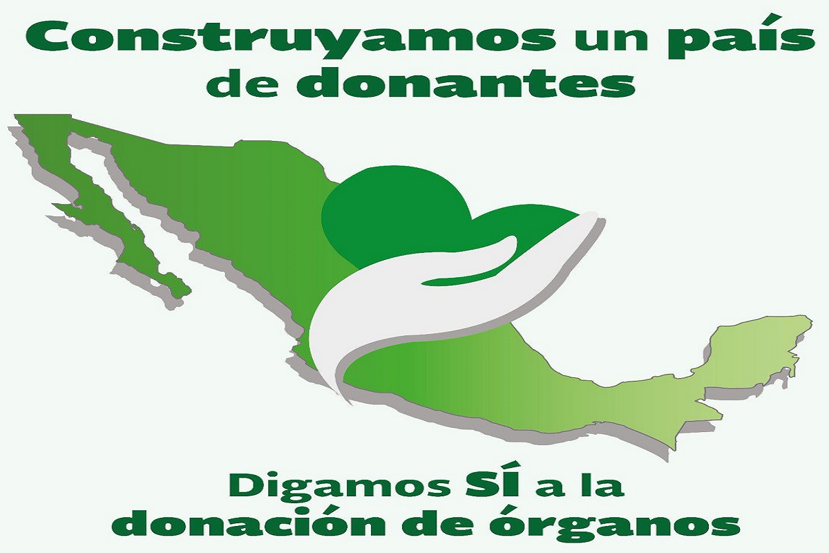 Donacion de organos 2