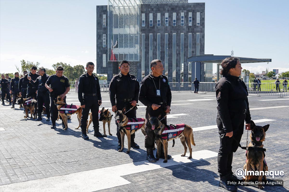 Nueva estrategia de seguridad en penales de Puebla: perros buscarán droga, armas y celulares 2 Entrega de Patrullas Municipales Puebla 5