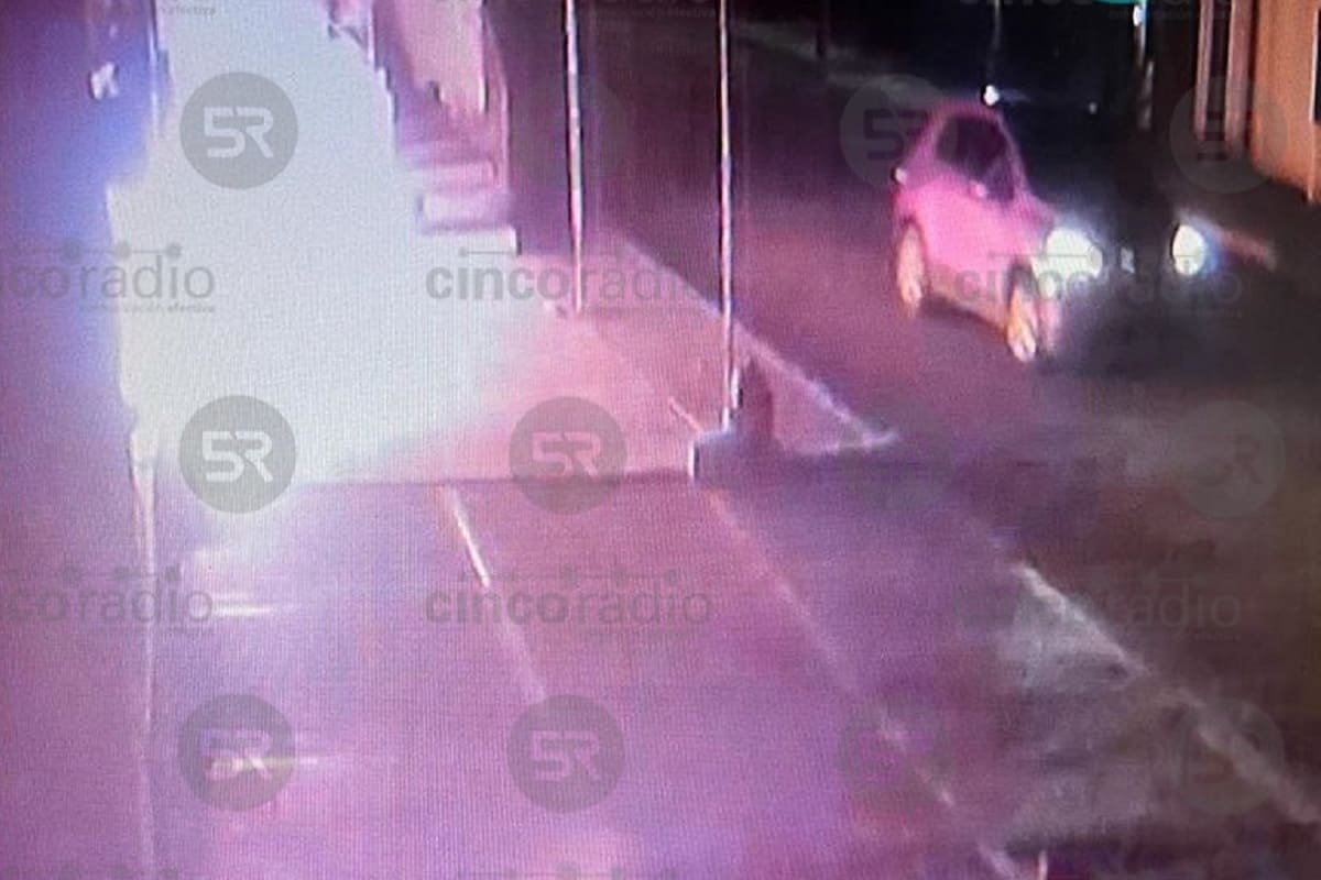 Queman veterinaria en San Andrés Cholula y mueren varios animales 4 Queman veterinaria en San Andres Cholula y mueren varios animales 1
