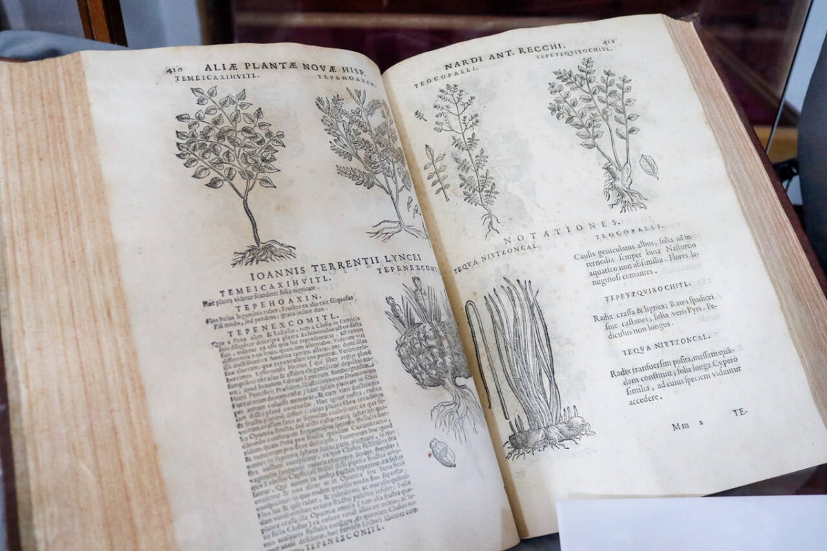 biblioteca palafoxiana 3