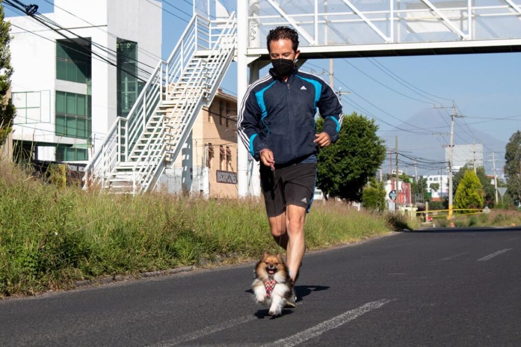 cd5e896c 7661 4cd8 b622 371615d13cb9 1