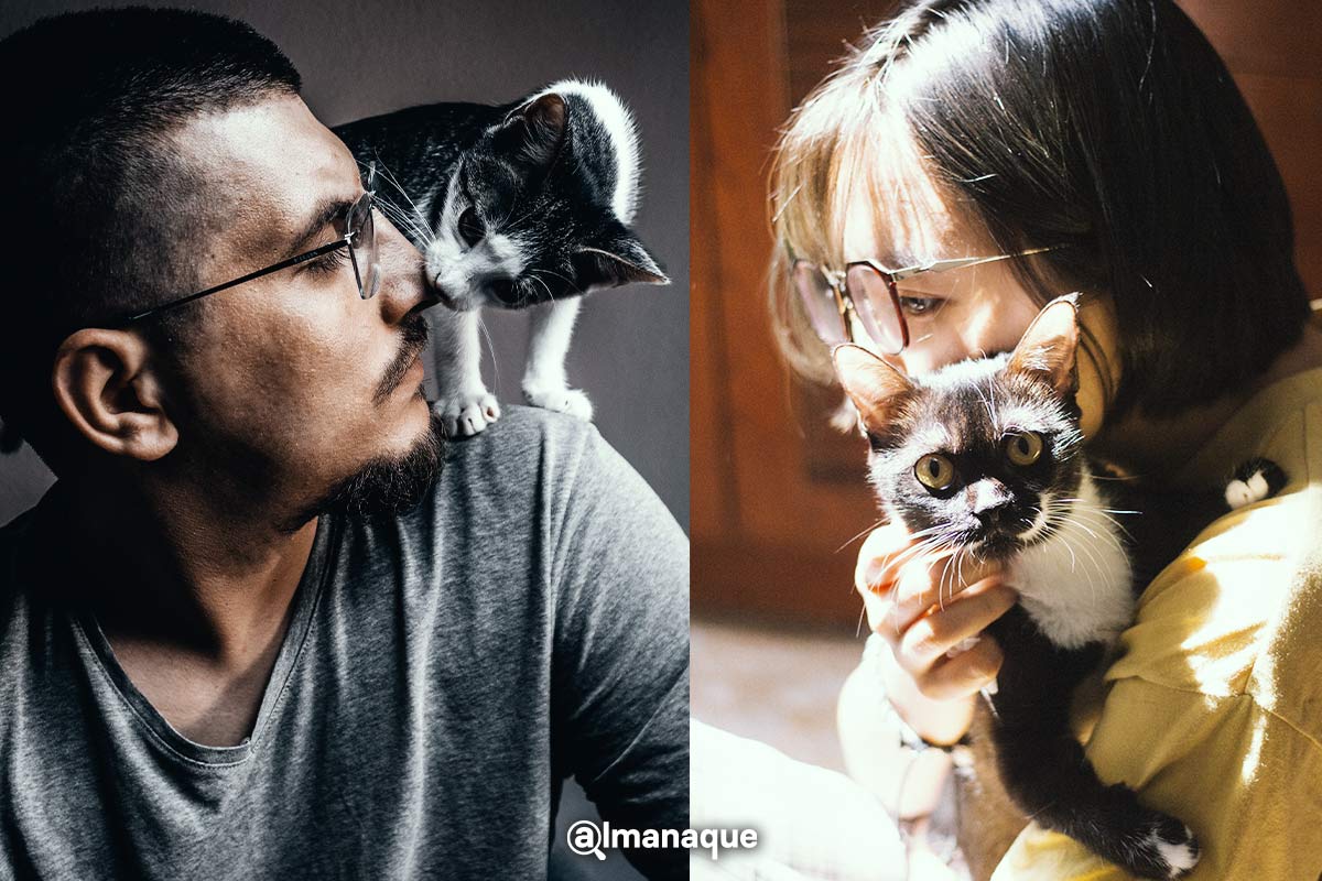¿Por qué se les llama "Karen" a los dueños de gatitos? Aquí la historia 2 michis gato karen hembra karen macho
