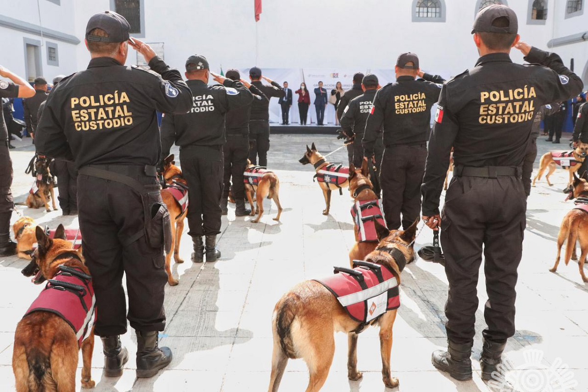 Con binomios caninos, SSP refuerza vigilancia en centros penitenciarios 3 0b5a2d03 0b6a 4675 9ae7 ef8801f9bea1
