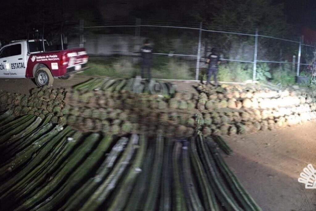 2e20ebca a98c 4c32 b96c abaf113b0542