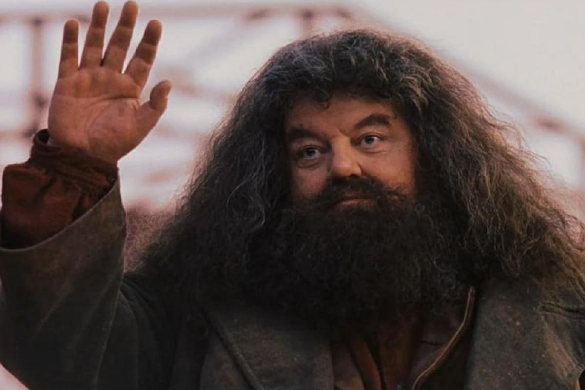 Con memes despiden y lloran la muerte de Hagrid en redes sociales 4 Hagrid 1