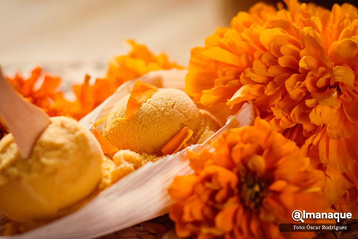 Heladeria Coyotitla Cholula 8