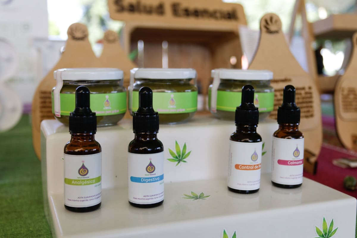 ¡Pan de muerto con cannabis! Esto y más encontrarás en el Toque Fest 2022 en Puebla 17 R5A2261