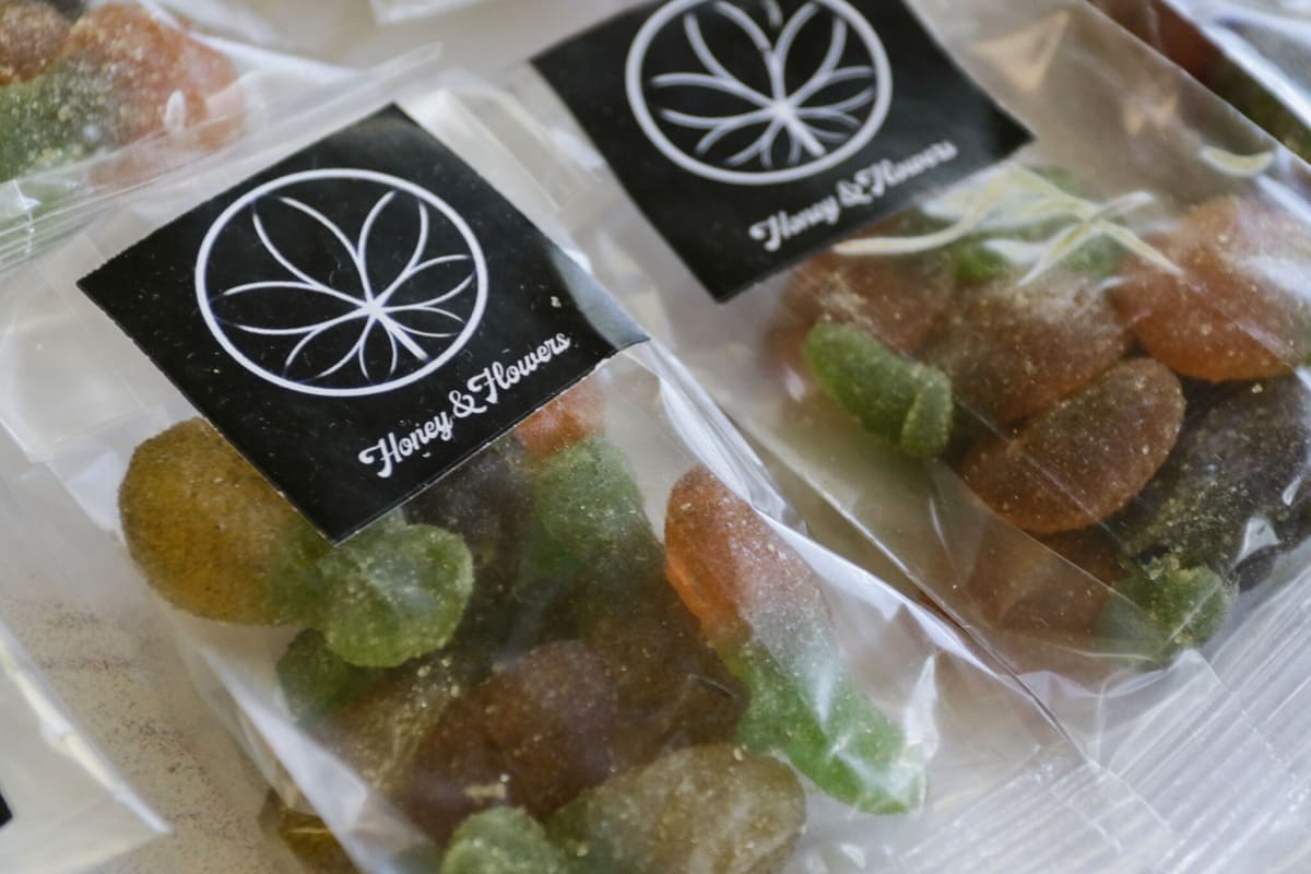 ¡Pan de muerto con cannabis! Esto y más encontrarás en el Toque Fest 2022 en Puebla 16 R5A2337