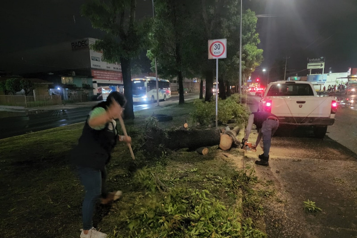 Ayuntamiento de Puebla atiende reportes por caída de árboles 2 ayuntamiento