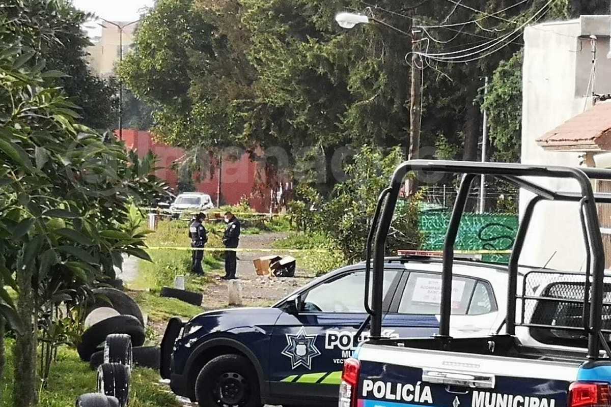 Hallan cabeza humana dentro de una caja en la colonia Cleotilde Torres 3 cabeza humana 1
