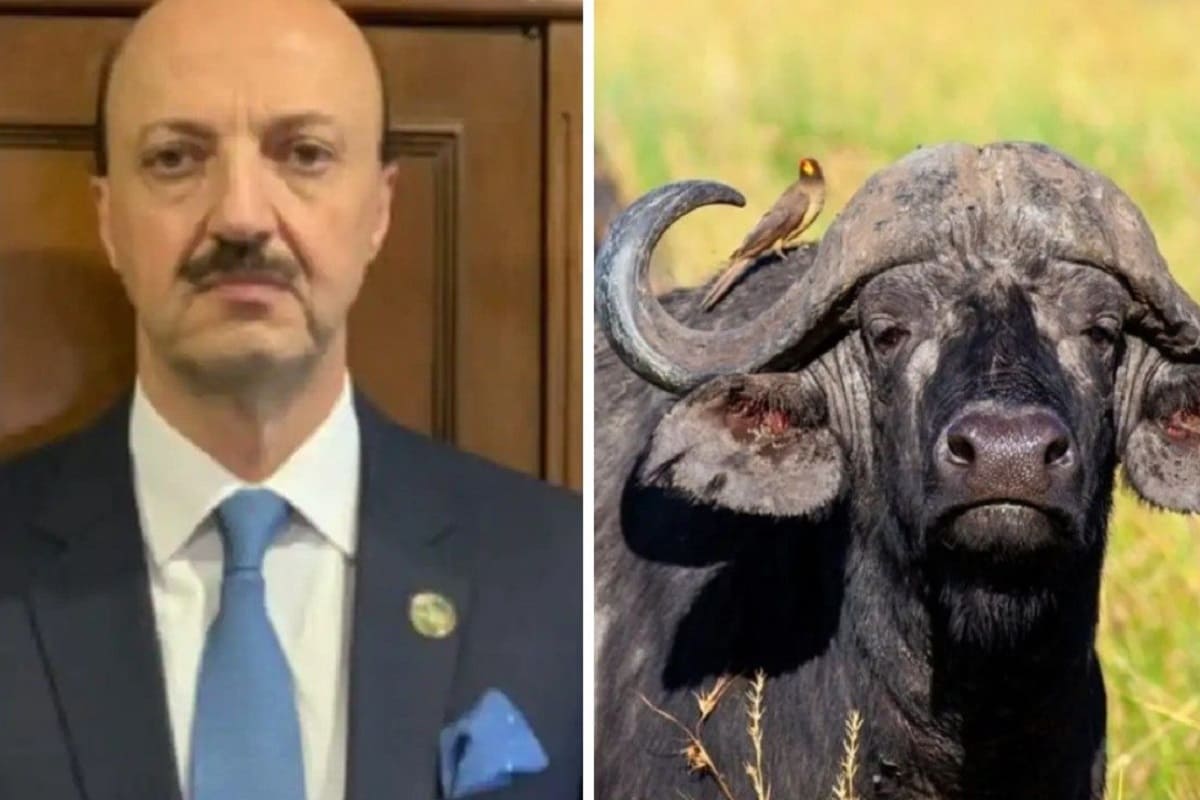 Muere cazador mexicano embestido por un búfalo en Argentina 4 cazador muere 1