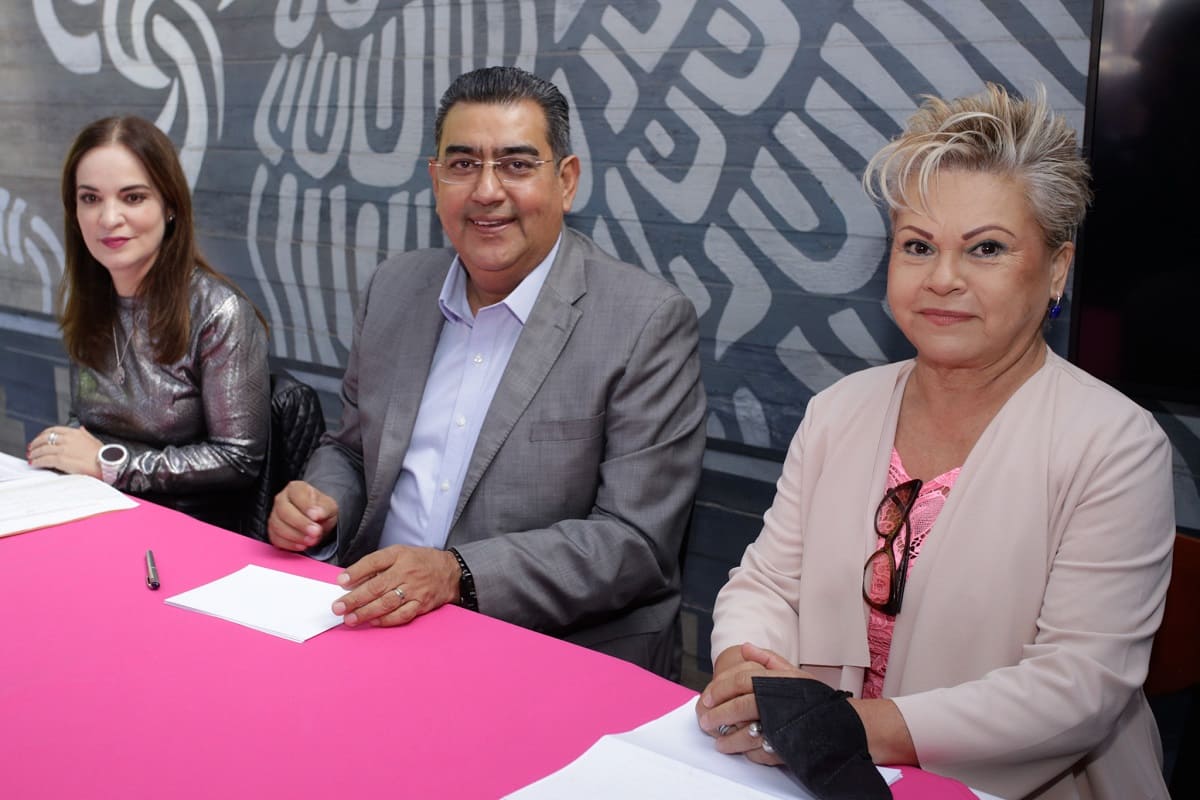 Falta de consultas con pueblos indígenas y personas con discapacidad frenan Ley de Movilidad 2 comision de movilidad 1