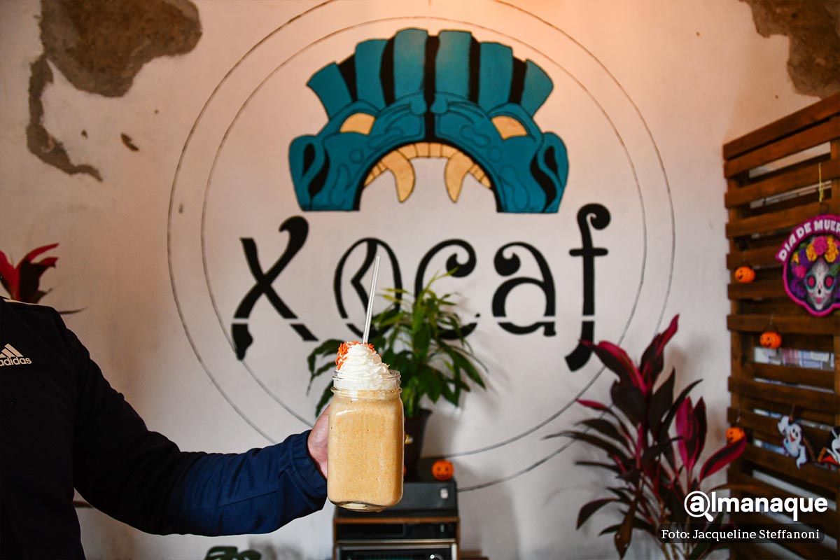 frappe de cempasuchil 2