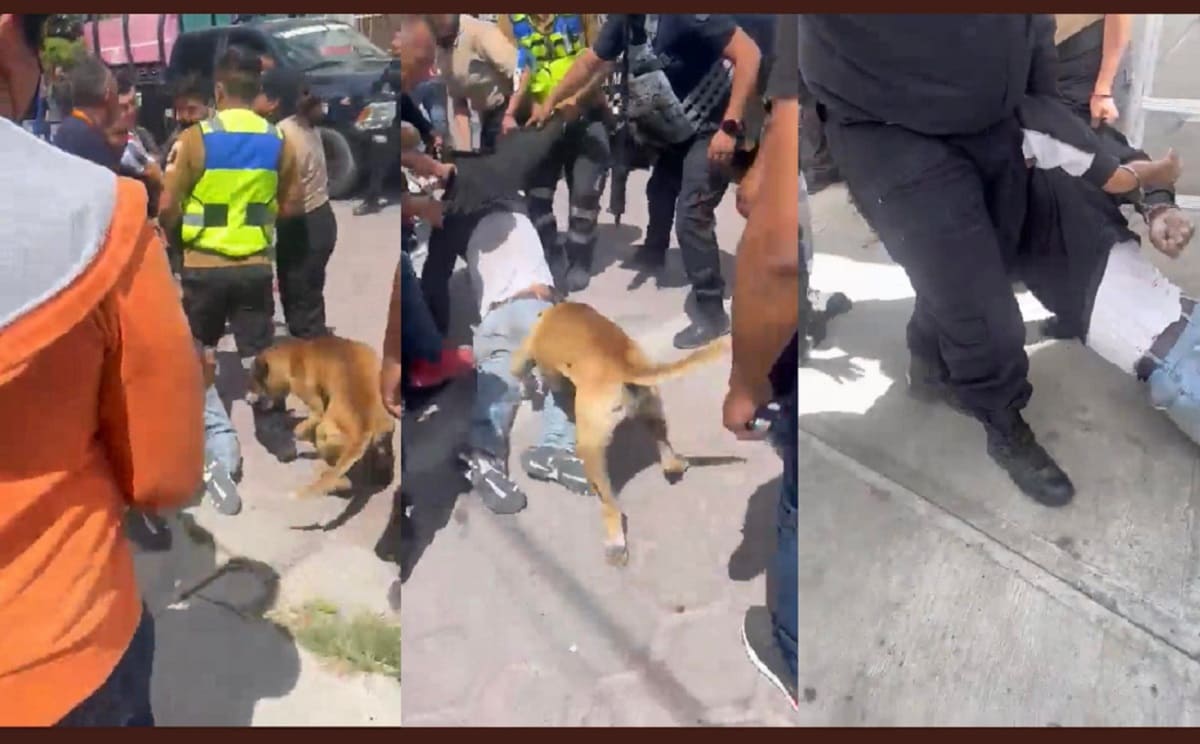Hasta el perro le entró: vecinos de Tecamachalco golpean a ladrón que entró a vivienda (VIDEO) 2 ladron perro tecamachalco