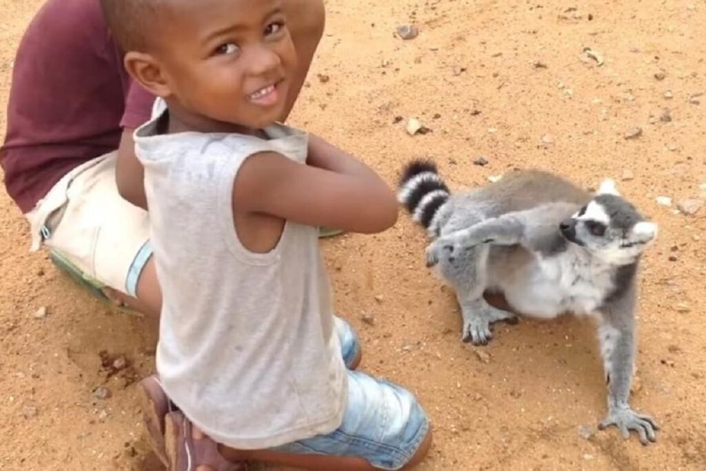 lemur madagascar 1