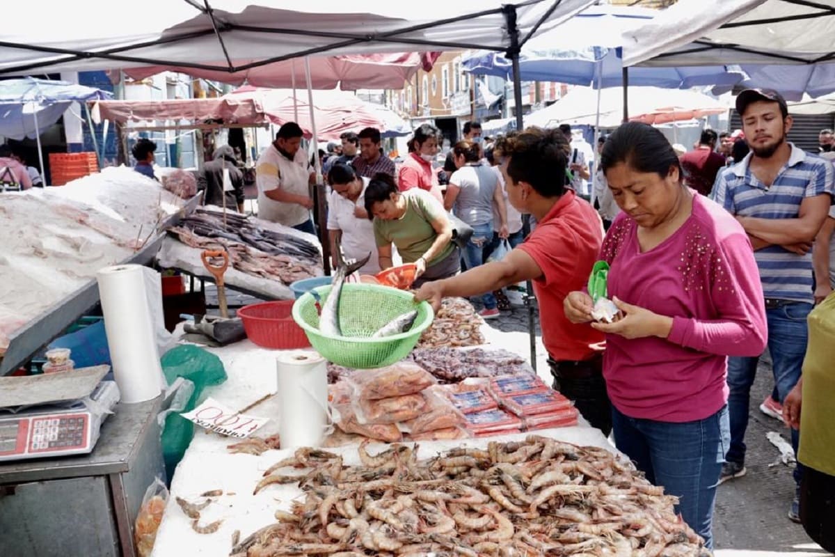 Plaga de ratas en la calle de mariscos de Puebla: “conviven con los trabajadores” 5 mercado de pescados 1