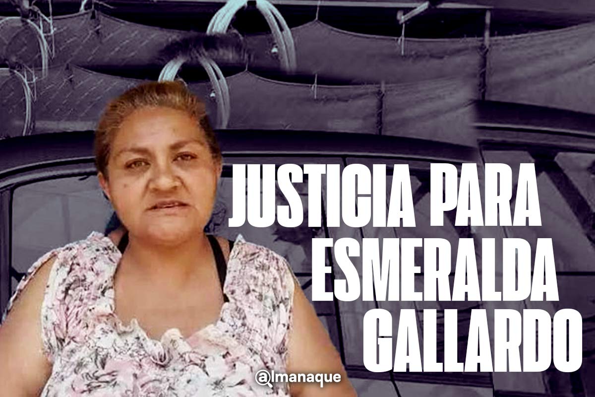 #JusticiaparaEsmeraldaGallardo La madre que buscó casi dos años a su hija y fue asesinada en Puebla 3 portada Esmeralda Gallardo La madre que busco casi dos anos a su hija