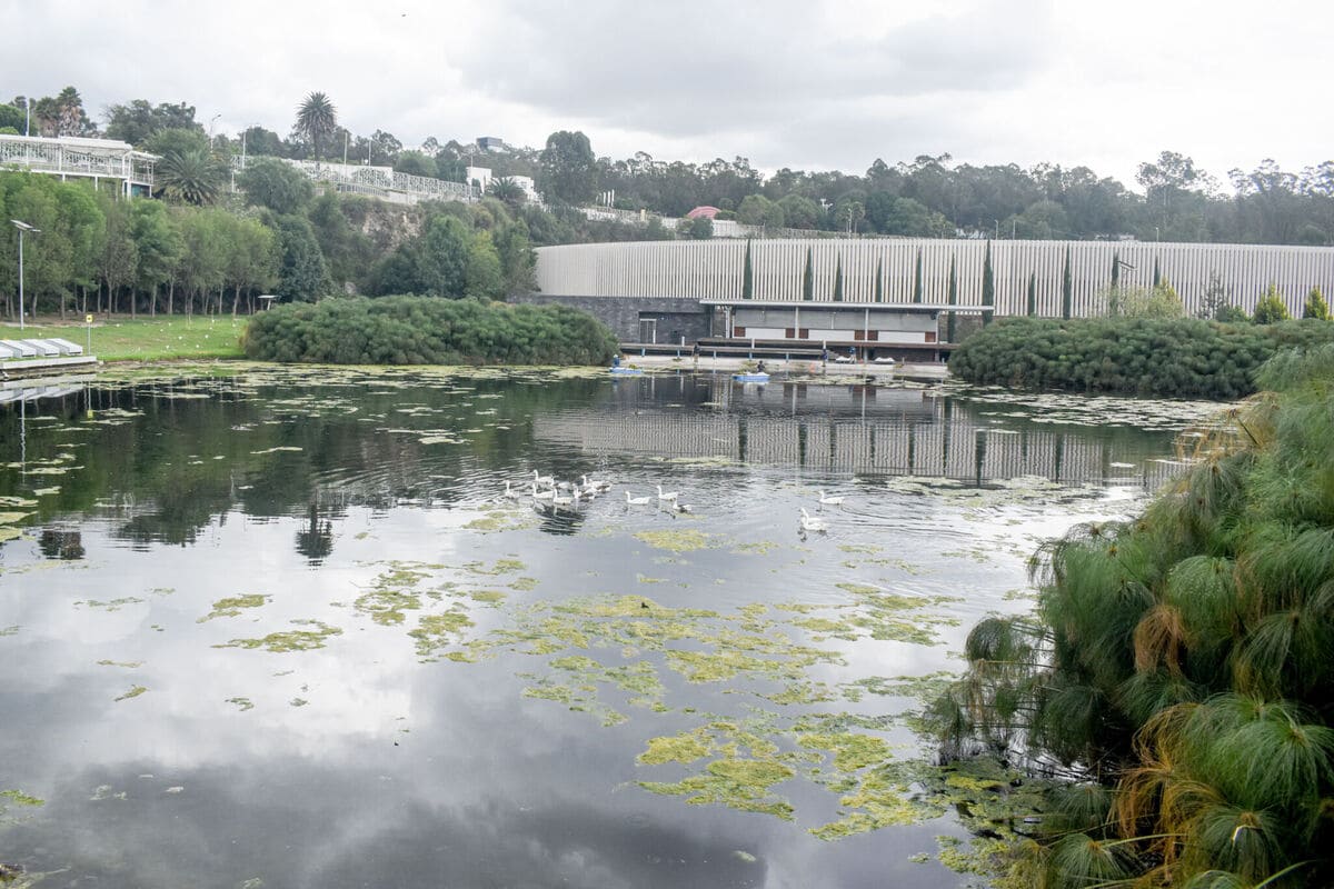 Estadio Zaragoza y Lago de la Concordia serán remodelados 