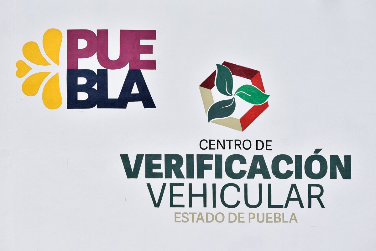 verificacion 1