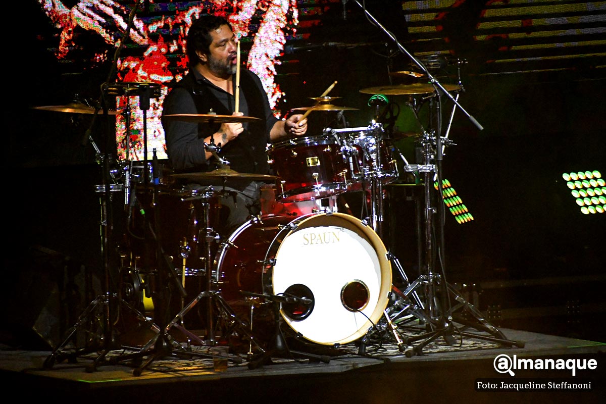 Elefante concierto Metropolitano 2