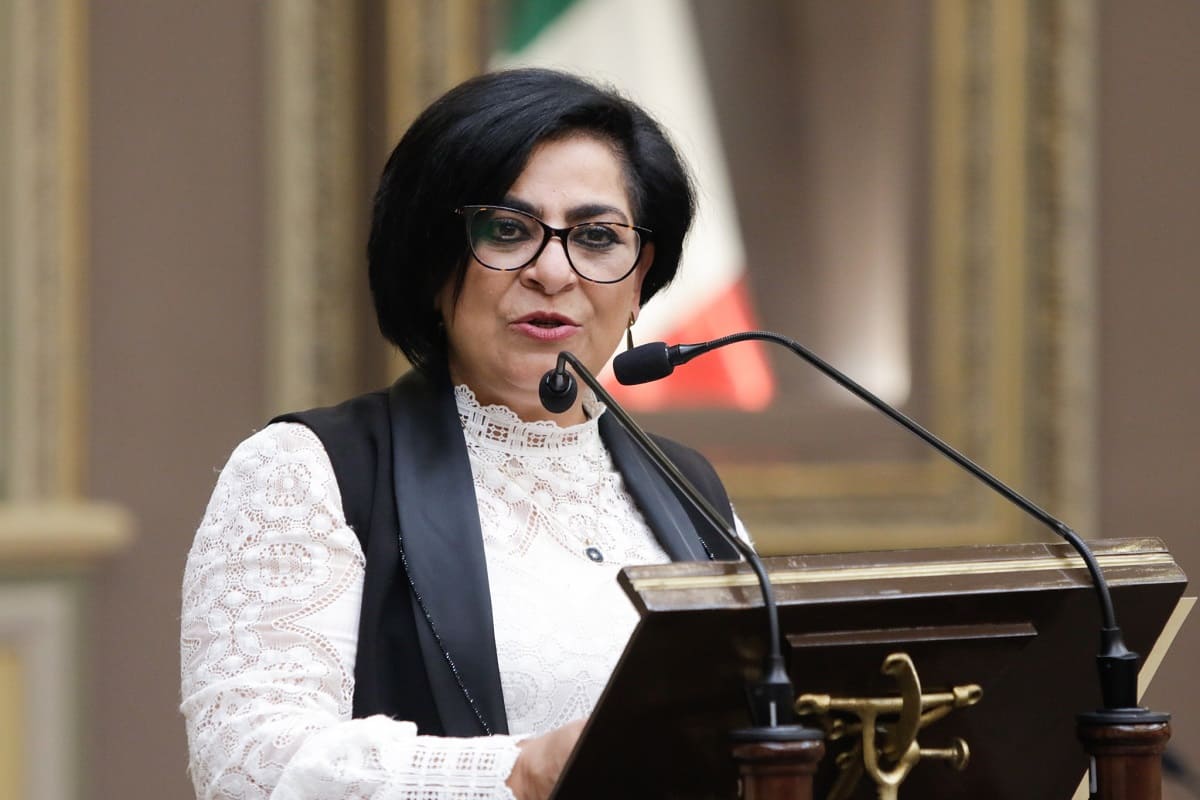 Propone Morena creación de Registro de Deudores Alimenticios Morosos en Puebla 5 Guadalupe Yamak Taja 1
