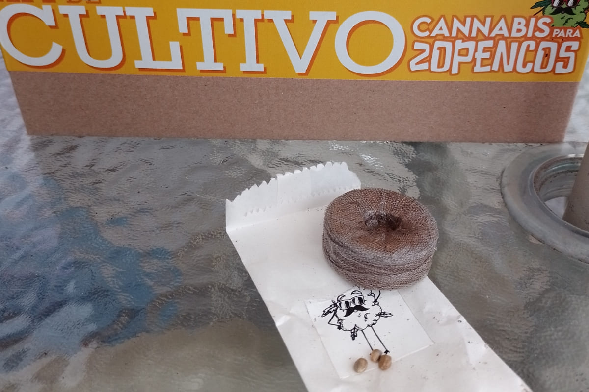 ¿Quieres sembrar tu propia marihuana? En Puebla venden kit "Cannabis para Zopencos" 5 Picsart 22 11 03 21 23 32 146
